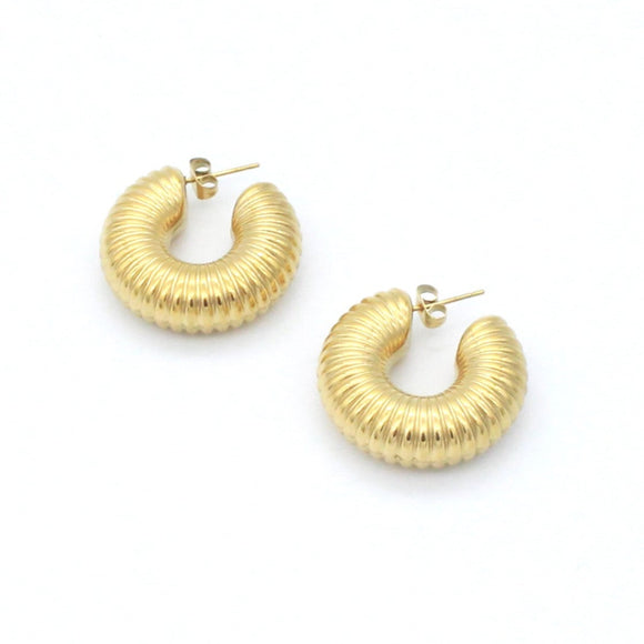 Aretes bold hoops