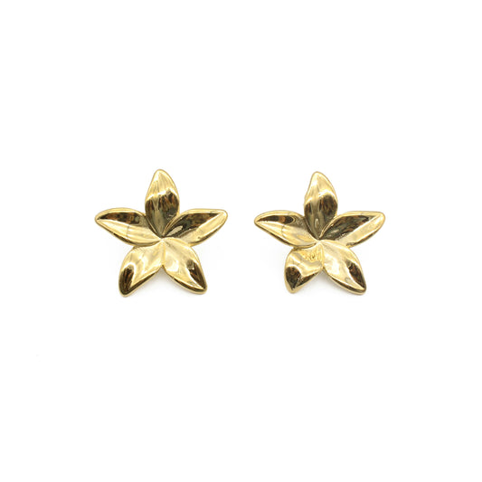 Aretes Lilian gold