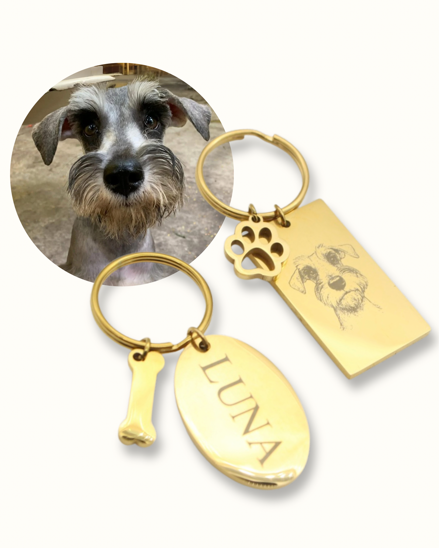 Paw Keychain