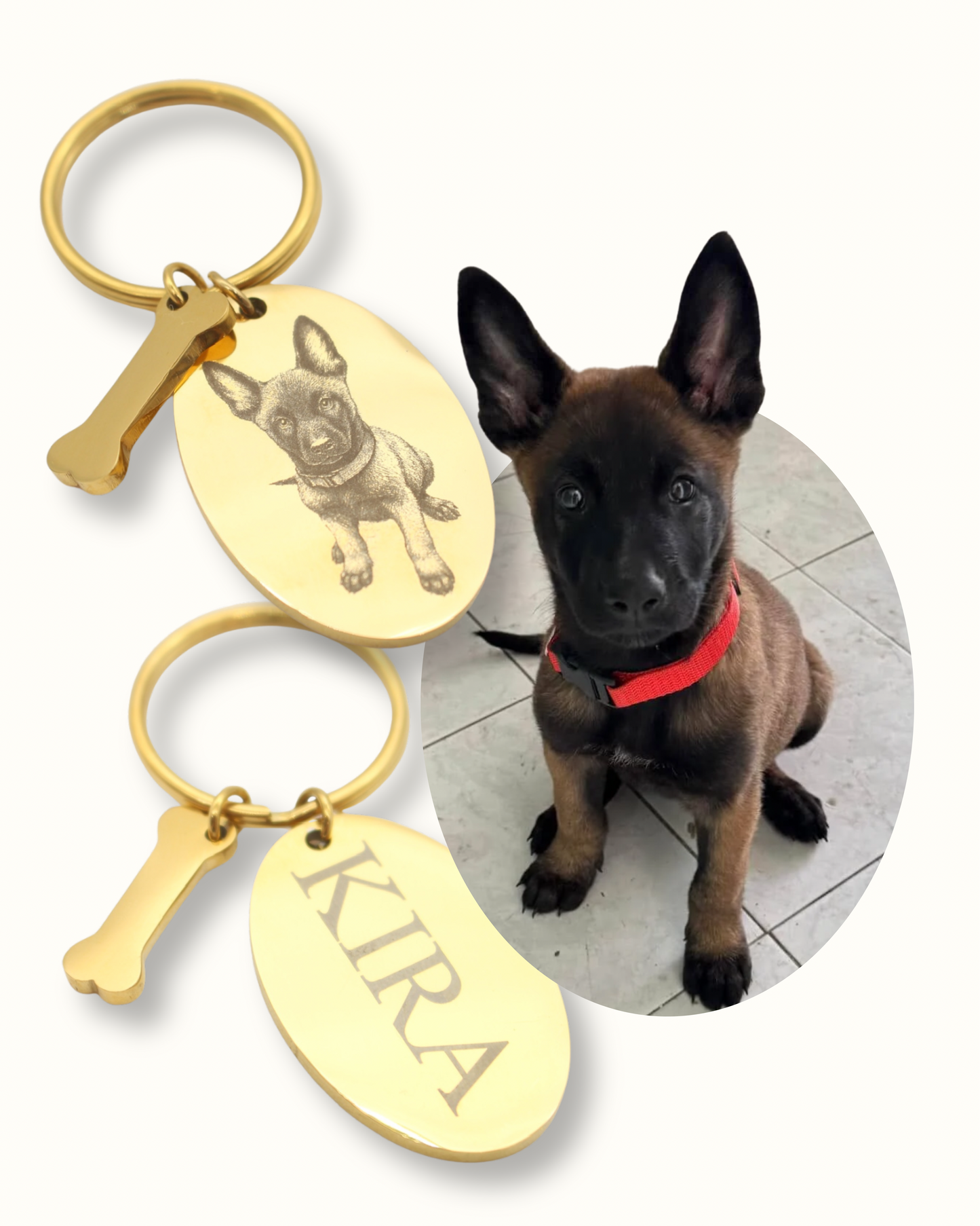 Paw Keychain